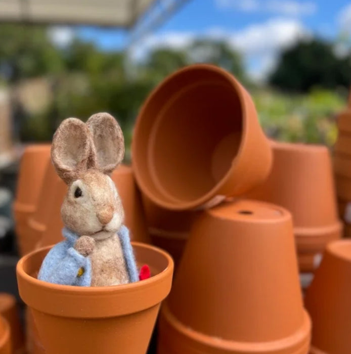 Peter Rabbit & His Pocket Handkerchief Needle Felting Kit